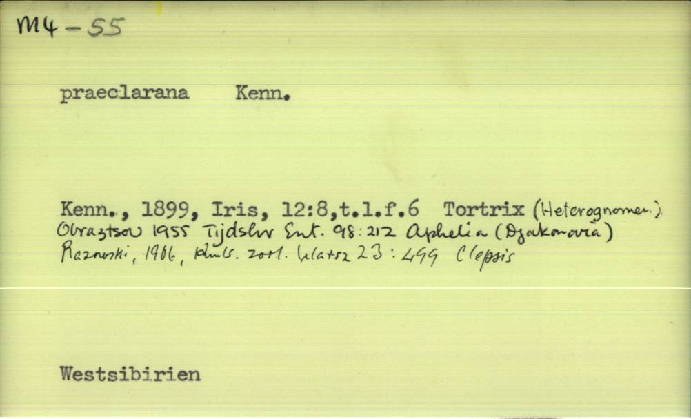 front of card